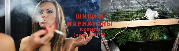 ПСИЛОЦИБИНОВЫЕ ГРИБЫ Балабаново