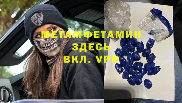 хмурый Аркадак