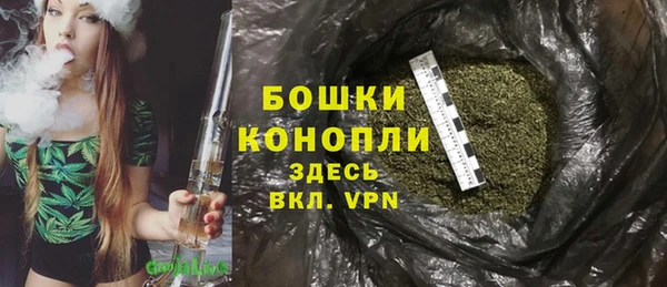 ПСИЛОЦИБИНОВЫЕ ГРИБЫ Балабаново
