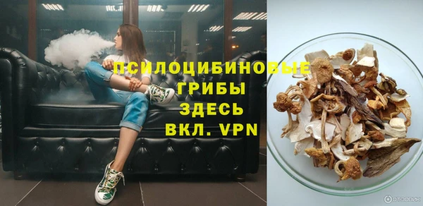 ПСИЛОЦИБИНОВЫЕ ГРИБЫ Балабаново