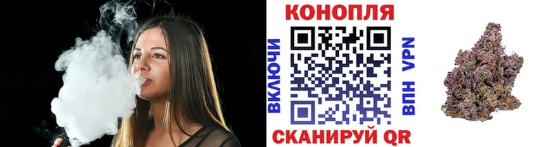 Бошки Шишки сатива  цена наркотик  Усть-Кут 